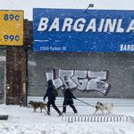 Two people wwalking two dogs in Bedford Stuyvesant, in the snow with empty storefronts behind them